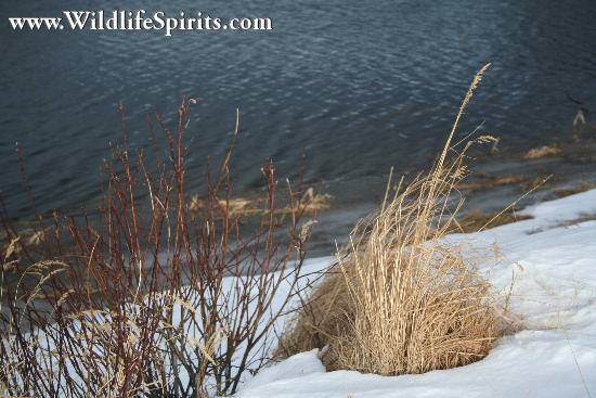 Click Picture to send as an  E-PostCard 58k 550x367